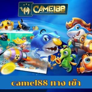 camel88 ทาง เข้า