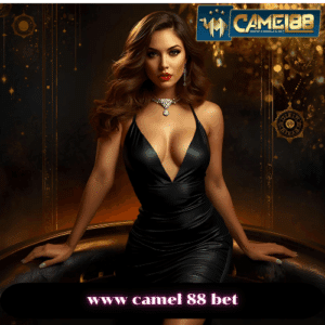 www camel 88 bet