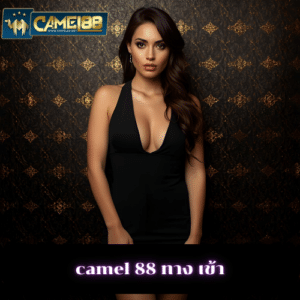 camel 88 ทาง เข้า