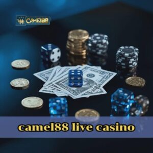 camel88 live casino